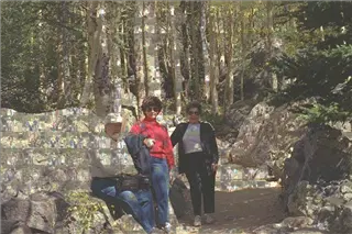 small_Walkers moziac.webp